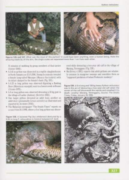 Preview: Taxonomy, Life History and Conservation of Giant Reptiles in West Kalimantan